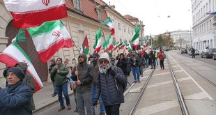من تظاهرة يوم الأرض في شارع رينفيغ في فيينا